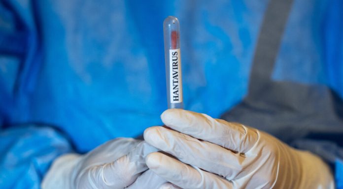 Aproximativ 40 de pasageri au coborât de pe nava afectată de focarul de hantavirus înainte ca alerta sanitară să fie extinsă