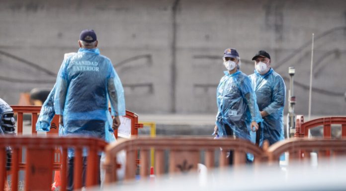 Olanda: 12 angajați ai unui spital, în carantină după tratarea unui pacient cu hantavirus