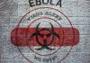 OMS a identificat tratamente şi vaccinuri experimentale împotriva virusului Ebola. Urmează teste în cadrul unor studii clinice