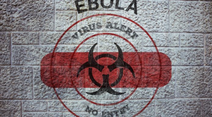 OMS a identificat tratamente şi vaccinuri experimentale împotriva virusului Ebola. Urmează teste în cadrul unor studii clinice