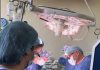 Transplant hepatic rar în România. Intervenția-maraton care a salvat o fetiță de un an și jumătate