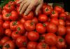 „Sunt tratate să reziste”. Pericolul roșiilor perfecte din piețe și supermarketuri. Cum le putem recunoaște pe cele cu pesticide