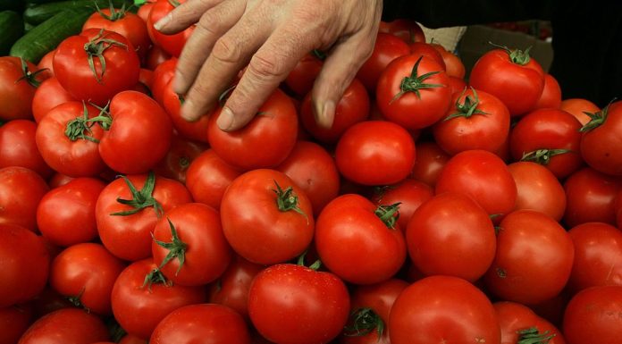 „Sunt tratate să reziste”. Pericolul roșiilor perfecte din piețe și supermarketuri. Cum le putem recunoaște pe cele cu pesticide