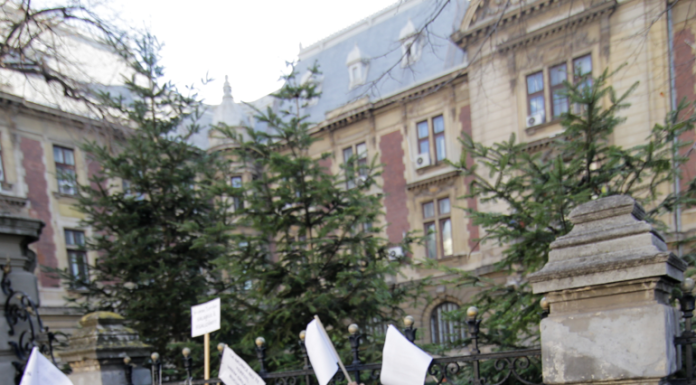 Sindicatul APIA avertizează cu proteste naționale din cauza noii Legi a salarizării: „Nu putem accepta aceste inechități”