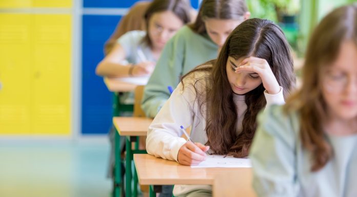 Ministrul Educației, mesaj pentru elevii care susțin evaluările naționale. Cum s-ar putea schimba examenul de clasa a VIII-a pe viitor
