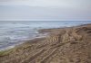 Alertă pe Litoral: Resturile unei drone găsite pe plaja de la Eforie Nord