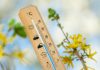 Vremea se încălzeşte treptat în România: temperaturi de până la 25°C până la finalul lunii mai. Când și unde va ploua