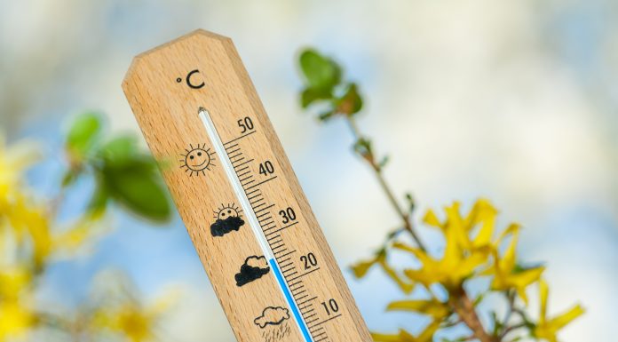 Vremea se încălzeşte treptat în România: temperaturi de până la 25°C până la finalul lunii mai. Când și unde va ploua