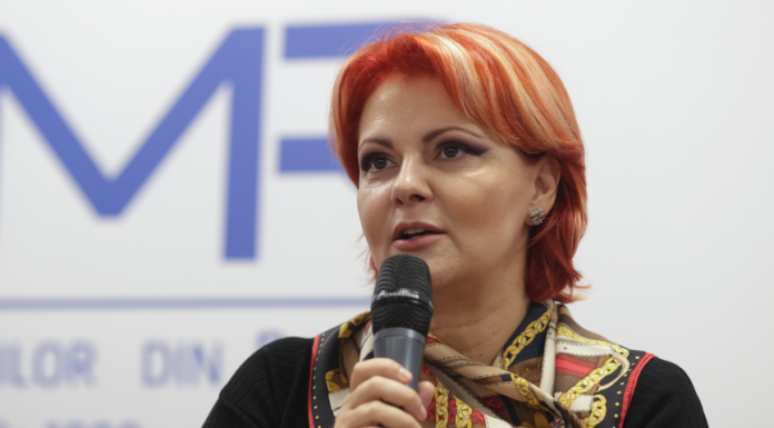 Lia Olguţa Vasilescu: Vom vorbi despre reformă administrativă când se va face regionalizarea