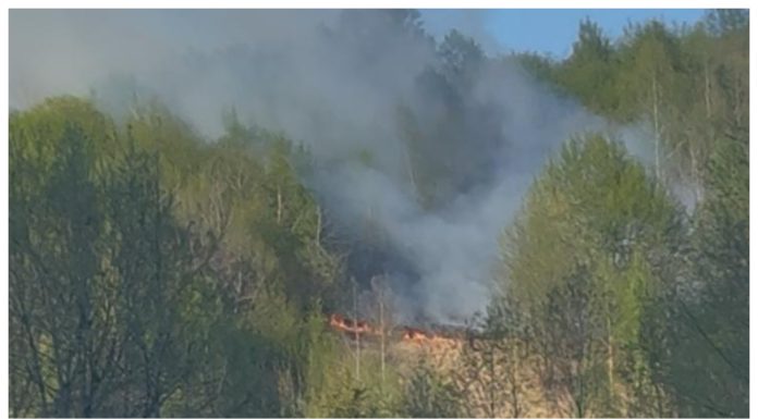 Incendiu de vegetație în Bistrița-Năsăud: focul a cuprins o zonă de pășune împădurită pe Valea Anieșului