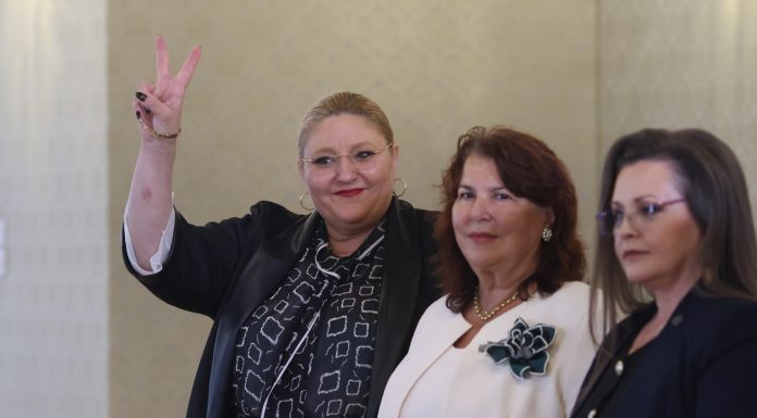 Diana Șoșoacă, circ la Palatul Cotroceni în ziua consultărilor cu Nicușor Dan: „Este că-mi stă bine aici?”