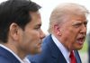 Trump amenință din nou Cuba cu intervenții militare: „Aș fi bucuros să o fac”. Rubio avertizează că șansele unui acord „nu sunt mari”