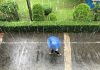 ANM a emis noi alerte de ploi, vijelii și vânt puternic. Ce zone sunt afectate de cod galben și cum va fi vremea în București HARTĂ