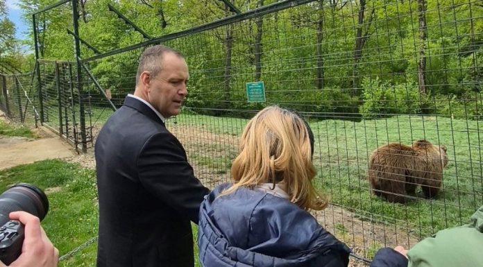 Președintele polonez Karol Nawrocki a vizitat sanctuarul urșilor de la Zărnești și a adoptat simbolic un urs brun