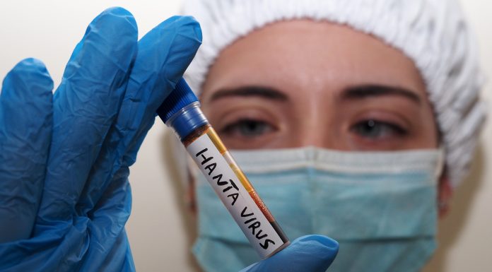 „Numărul de cazuri va crește”. Avertismentul OMS privind infectările cu hantavirus