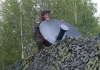 Rusia publică imagini de la un exerciţiu militar în care sunt utilizate focoase nucleare