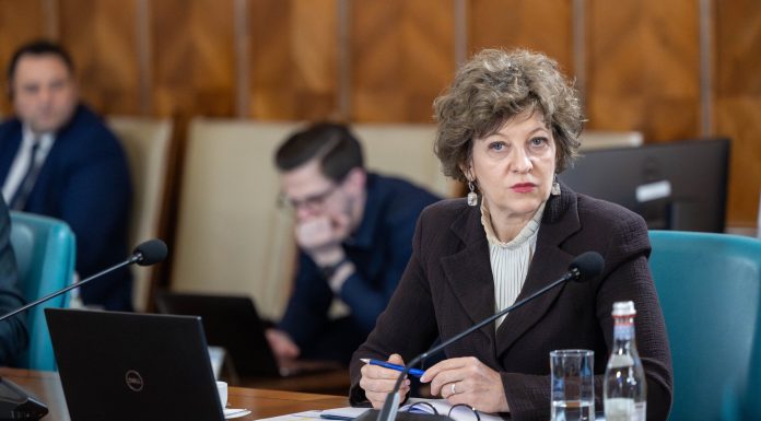 „Un volum enorm de muncă”: Răspunsul primit de Oana Gheorghiu de la o autoritate publică de la care a cerut lista activelor statului