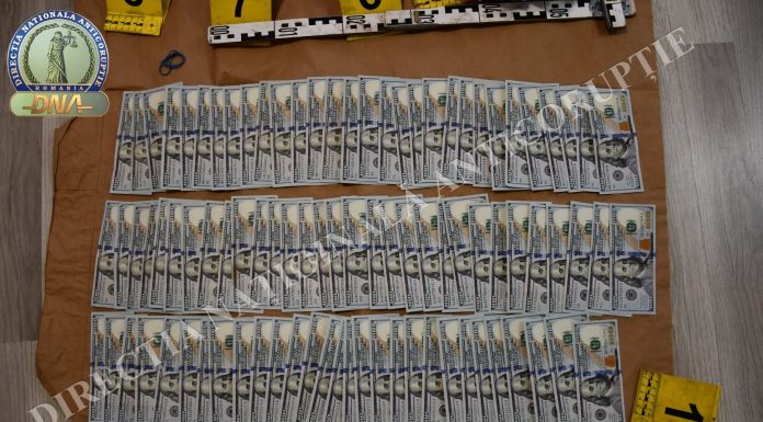 Care este valoarea mitei pentru containerele importate în Constanța. Doi inspectori vamali au fost reținuți de DNA