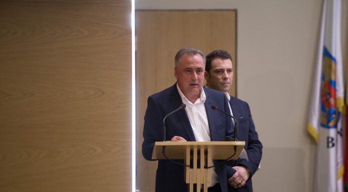 Purtătoarea de cuvânt a Guvernului, despre Mihai Savin, șeful Vămilor, acuzat de fals: „A avut un mandat cu rezultate remarcabile”