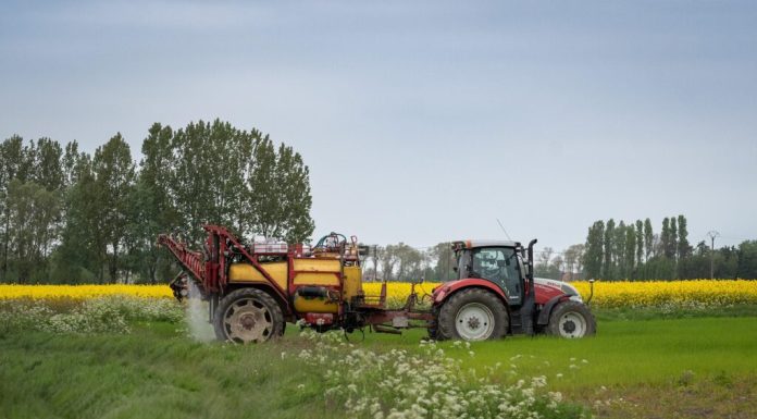 Polonia va contesta acordul comercial Mercosur la instanța supremă a UE