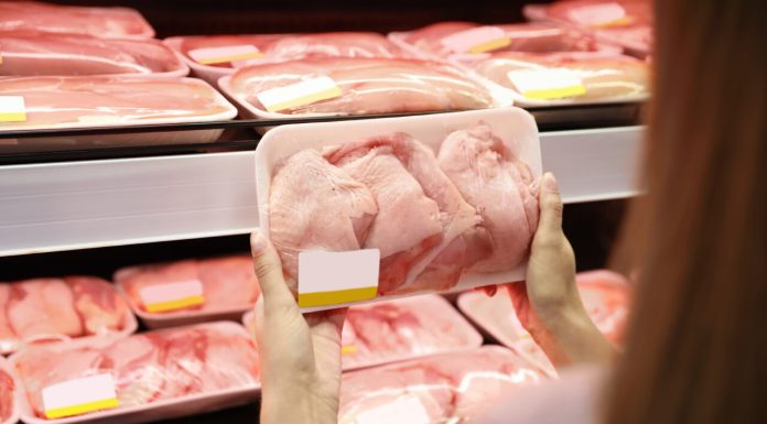 Alertă sanitară în UE, în urma tratatului comercial cu Mercosur. Circa 80% din primul lot de pui brazilian este contaminat cu Salmonella