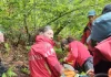 Noi detalii despre starea lui Alexandru, copilul de 5 ani din Sibiu, dispărut de acasă și găsit în viață după două nopți petrecute în pădure
