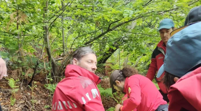 Noi detalii despre starea lui Alexandru, copilul de 5 ani din Sibiu, dispărut de acasă și găsit în viață după două nopți petrecute în pădure