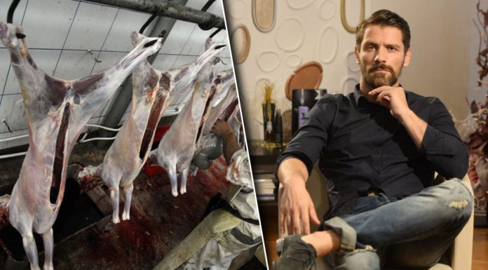 Actorul român violator în serie, trimis să lucreze cu animale proaspăt tăiate. Cum a ajuns Alexander Zudor aproape liber