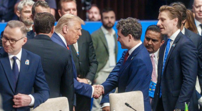 Irineu Darău, despre o întâlnire Nicuşor Dan – Donald Trump: Nu e ca la piaţă, în care să te duci cu 10 proiecte şi ei să vină cu 10