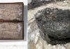 Descoperire rară în Germania. Un caiet medieval vechi de 800 de ani a fost găsit într-o latrină și încă poate fi citit