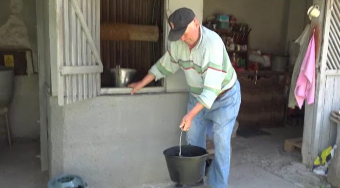 Secetă severă în România. Jumătate de țară este afectată: „Nici nu a început vara și nu avem apă”