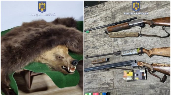 Afaceriști din Bihor, implicați într-un dosar cu acuzații grave de braconaj. 13 persoane trimise în judecată. Prejudiciu de peste 90.000 de euro