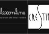 Dexonline a generat o adevărată controversă. Cuvântul zilei: „cretinism” sau „creștinism”? Plângere penală și reacția BOR