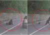 Ce ar fi determinat-o pe ursoaica de pe Transfăgărășan să-l atace pe turistul bulgar. Noi imagini scot la iveală detalii despre incident