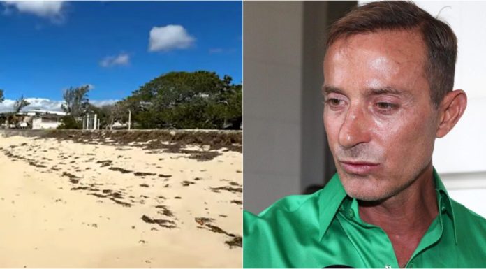 Radu Mazăre povestește cum și-a făcut complexul de bungalouri din Madagascar. Fiecare construcție are câte o șopârlă vie