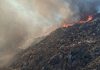 UPDATE – Pompierii au localizat şi lichidat incendiul de la groapa de gunoi din Oradea, dar şi pe cel izbucnit în urmă cu două zile pe un deal împădurit/ Incendiul din zona împădurită s-a reaprins