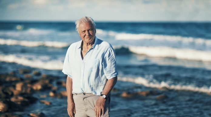 Sir David Attenborough împlineşte 100 de ani – BBC Earth va difuza în premieră documentarul „Wild London”