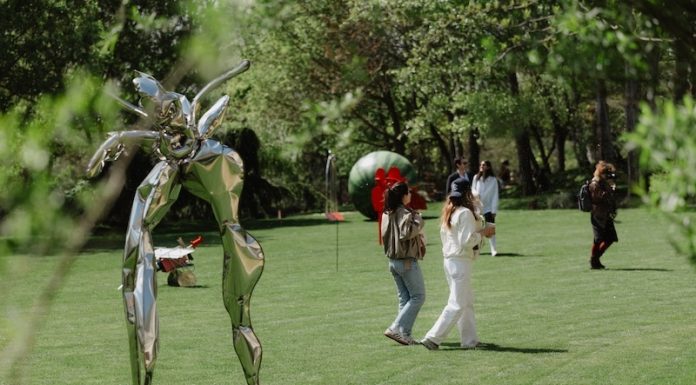 Rad Art Fair 2026 – Mai mult de 10.000 de vizitatori, 31 de galerii din 7 ţări/ Vânzări de peste 900.000 de euro