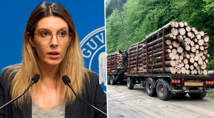Diana Buzoianu cere ajutorul Inteligenței Artificiale pentru a apăra pădurile de hoți. Ce este sistemul SUMAL 3.0