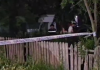 Tragedie în județul Buzău: Un copil de patru ani a murit după ce a fost mușcat de un câine ciobănesc