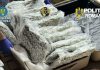 Tânăr cu dublă cetățenie, reținut după ce a fost prins cu 11 kilograme de Canabis. Drogurile urmau să fie vândute pe litoral