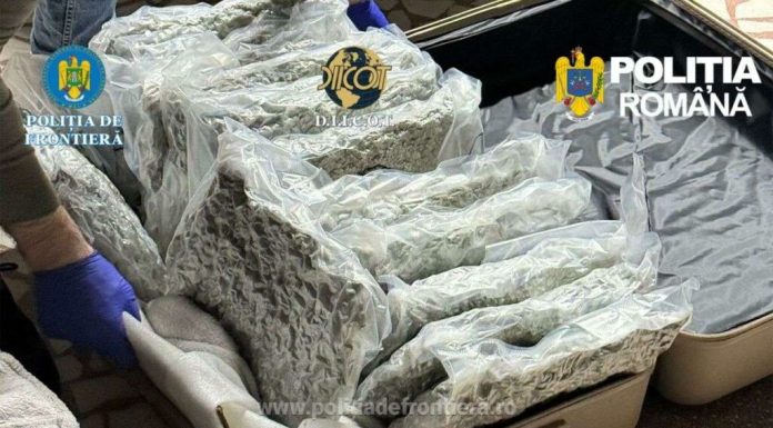 Tânăr cu dublă cetățenie, reținut după ce a fost prins cu 11 kilograme de Canabis. Drogurile urmau să fie vândute pe litoral