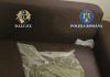 Aproape 3 kilograme de canabis, descoperite de anchetatori în Bistrița-Năsăud / Doi tineri au fost arestați preventiv