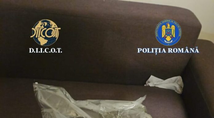 Aproape 3 kilograme de canabis, descoperite de anchetatori în Bistrița-Năsăud / Doi tineri au fost arestați preventiv