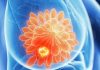 Descoperirea unui nou mecanism de comunicare celulară ar putea schimba cercetarea în cancer