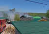 Incendiu la o grădină zoologică din Suceava. Animale salvate din flăcări, două exemplare au murit