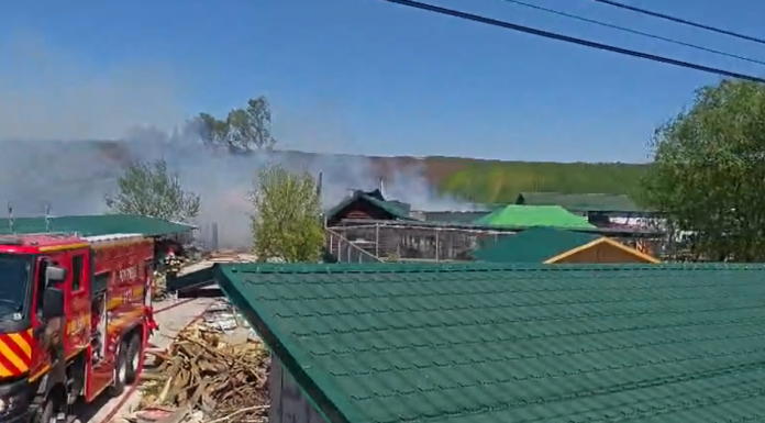 Incendiu la o grădină zoologică din Suceava. Animale salvate din flăcări, două exemplare au murit