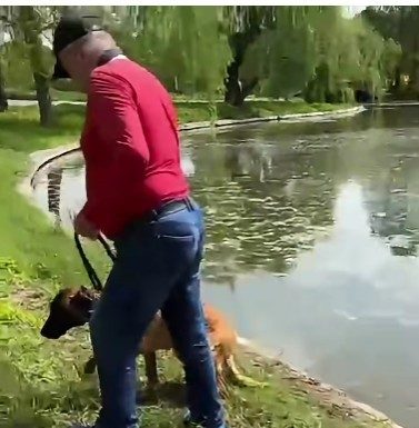 Dosar penal deschis de poliţiştii din Bucureşti, după ce un bărbat ar fi încercat să-şi înece câinele în Parcul Tineretului / Animalul nu ar fi fost lasă să iasă din apă până când au intervenit martorii / Câinele, preluat de ASPA Bucureşti – VIDEO