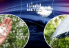 Cod portocaliu emis de meteorologi. Unde va ploua torențial, iar cantitățile de apă acumulate vor ajunge până la 70 l/mp. ANM, informații în exclusivitate pentru Gândul
