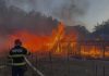 Puternic incendiu într-o localitate din judeţul Bistriţa-Năsăud, unde ard mai multe anexe – 50 de pui de găină şi 30 de miei nu au putut fi salvaţi – VIDEO